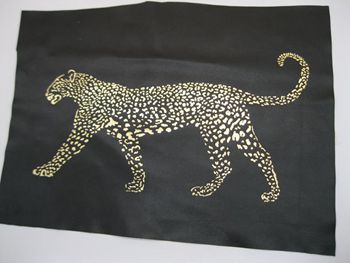 1570004112458632.jpg IMG_3023_80_350px.jpg